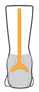 Diagram for a posterior y-strut