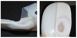 Pictured relief and fill 1st methead with PPT