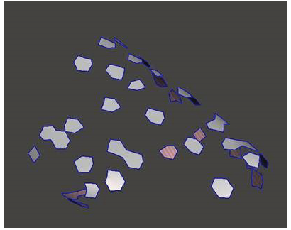 Pictured a scan that looks nothing like a recognizable foot in shape.
