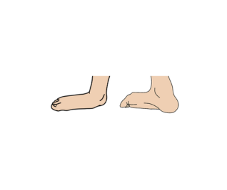 Flat on ground or notably raised 