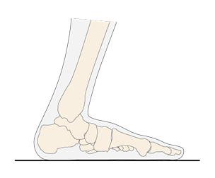 Dorsiflexion